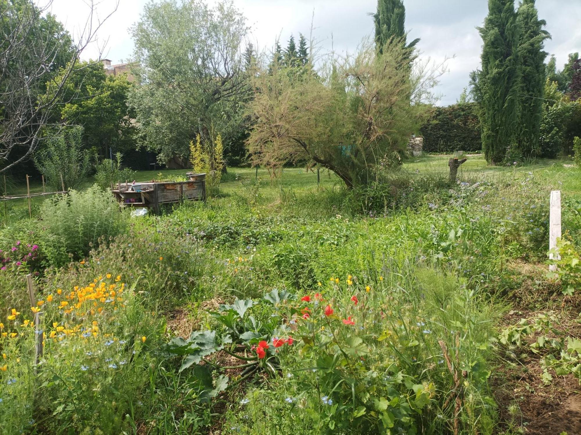 Campagne De Pre Grand Bed and Breakfast Saint-Étienne-les-Orgues Exteriör bild